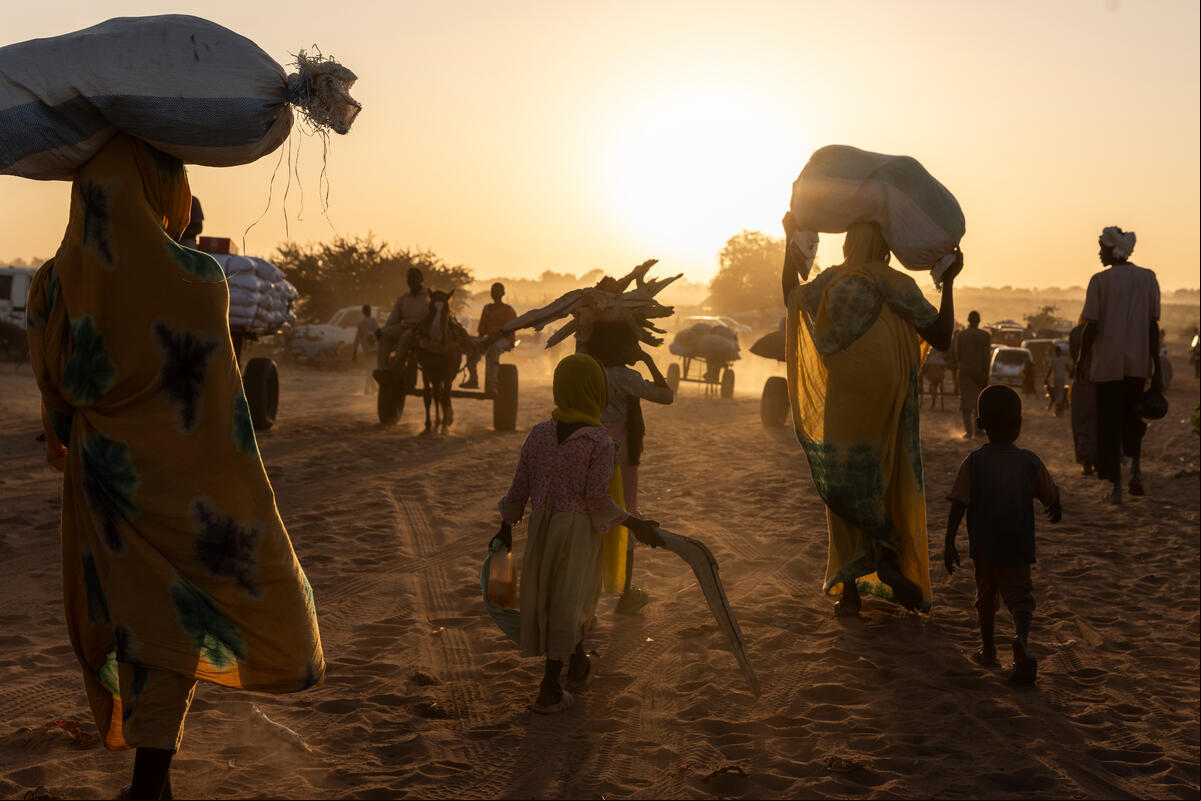 Con el sol poniéndose a sus espaldas, mujeres, niñas y niños en Chad caminan en un polvoriento terreno. Sobre sus cabezas llevan madera y sacos de arpillera.
