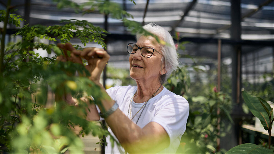 En un invernadero, una mujer mayor que usa anteojos observa una planta